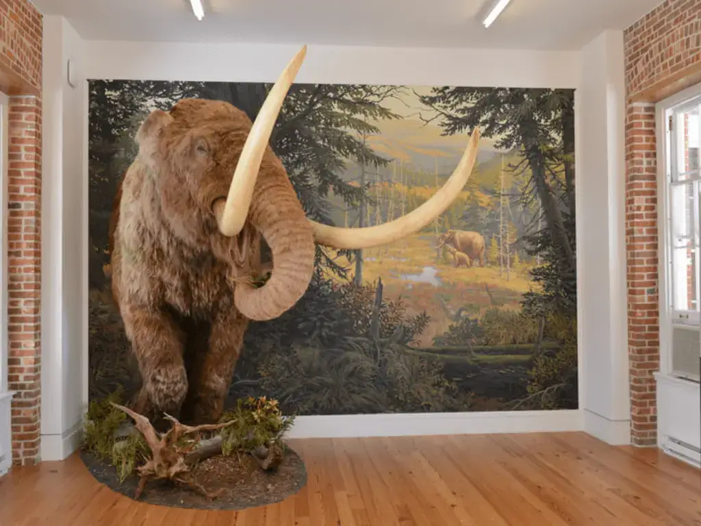 Mastodon Exhibit at Staten Island Museum